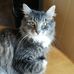 Marcel Thibodeau - Facebook