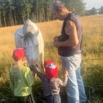 Marcel Tremblay - @marcel.tremblay47 - Instagram