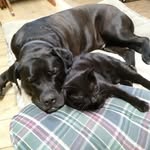 Marcel Turner - @marcel.turner.731 - Instagram