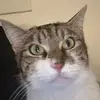 marcel.brüggemeier - @marcel.ulrich0912 - TikTok
