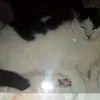 marcelulrich977 - @marcelulrich977 - TikTok
