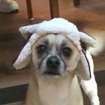 Marcel Washington - @marcel_washington - Instagram