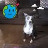 Marcellus A Webb Sr. - @marcellus.a.webb - TikTok