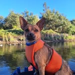 Marcel Zuniga - @marcelsoutdooradv - Instagram