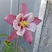 Marcela Astudillo - Facebook