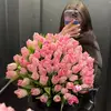 Marcela Benjamín - @marcela.benjamn - TikTok