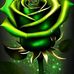 Marcela Bruno - Facebook