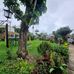 Marcela Camacho - Facebook