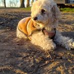 Marcela Gatica - Facebook