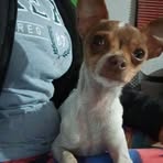 Marcela Gil - Facebook