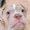 marcelahelms - @marcelahelms - TikTok