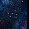Marcela ✨ - @marcela_hoffman - TikTok