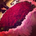 Marcela_ley ;) - @marcela_ley - Instagram