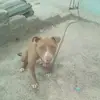 marcelaleyvamendo - @marcelaleyvamendo - TikTok