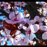 @marcelalimon - Instagram