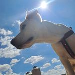 Marcela Llamas - @marc_e9006 - Instagram