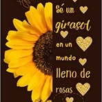 Marcela Monroy - Facebook