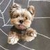 Marcela Rueda - Facebook
