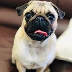 Luna_Marcelina - @luna_marcelina8 - Instagram