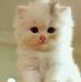 Marcelina luna - Facebook