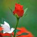 Marcelina Rojas - Facebook