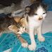 Marcelina Smith - Facebook