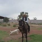 Marcelino Olvera Garcia - @marcelinoolveragarcia - Instagram