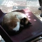 Marcelino Suarez - @marcelino.suarez - Instagram