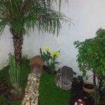 Marcelino Vasquez - @marcelino_artemio_vasquez - Instagram