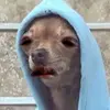 Marcell Branch - @marcellthegoat1 - TikTok