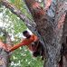 Marcell Brown - Facebook