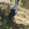 marcellbrown62 - @marcellbrown62 - TikTok