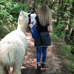 Marcella Bassoli - @marcellabassoli - Instagram