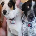 Marcella Belcher - Facebook