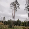 marcellabooker - @marcellabooker - TikTok