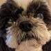 Marcella Booth - Facebook