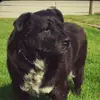 marcellaboyer631 - @marcellaboyer631 - TikTok
