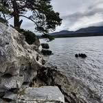 Marcella Eamon Burke - @marcellaeamon - Instagram