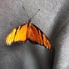 Marcella  Camacho - @marcella.camacho - TikTok