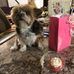 Marcella Carr - Facebook
