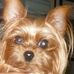 Marcella Dillard - Facebook