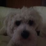 Marcella Dooley - @marcellafinn1 - Instagram
