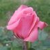 Marcella Duranti - Facebook
