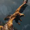 marcel_eagle 🦅 - @marceleagle - TikTok