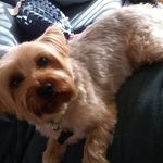 Marcella Givens - @marciegivens - Instagram