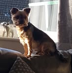 Marcella Henry - Facebook