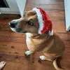 Marcella Hughes - @marcella.hughes - TikTok