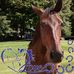Marcella Kramer - Facebook