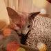 Marcella Lucy - Facebook