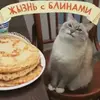 marcello_lemon - @marcello_lemon - TikTok